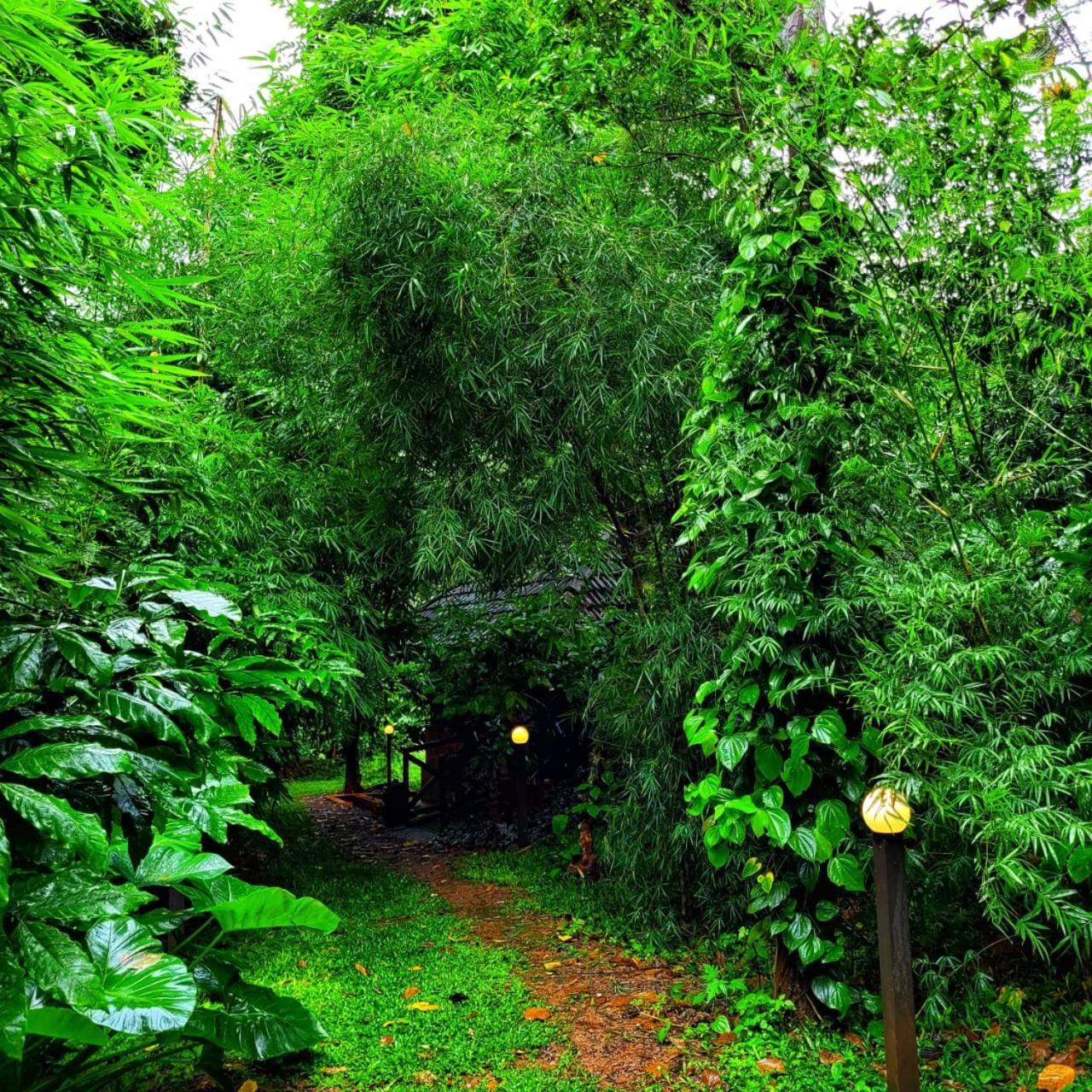 Greens Tree House & Wood House Sultan Bathery Eksteriør bilde