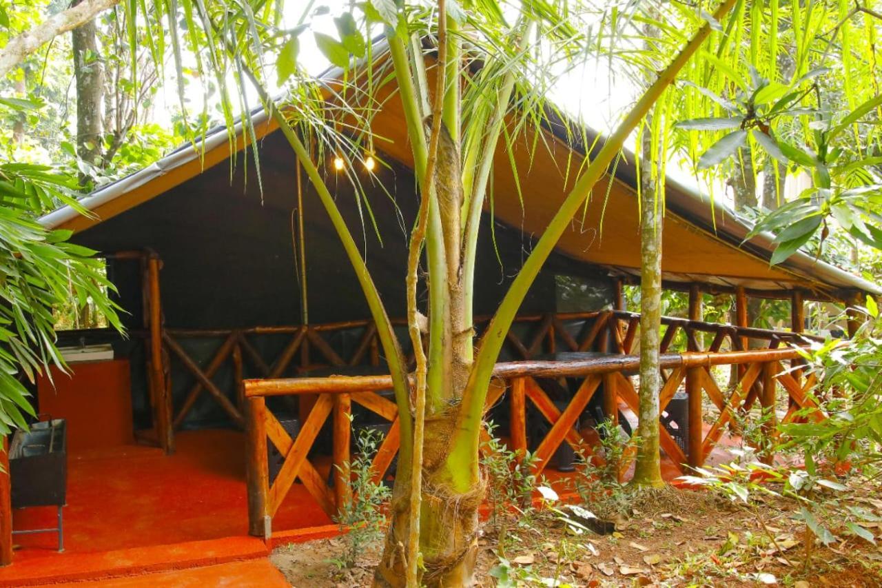 Greens Tree House & Wood House Sultan Bathery Eksteriør bilde