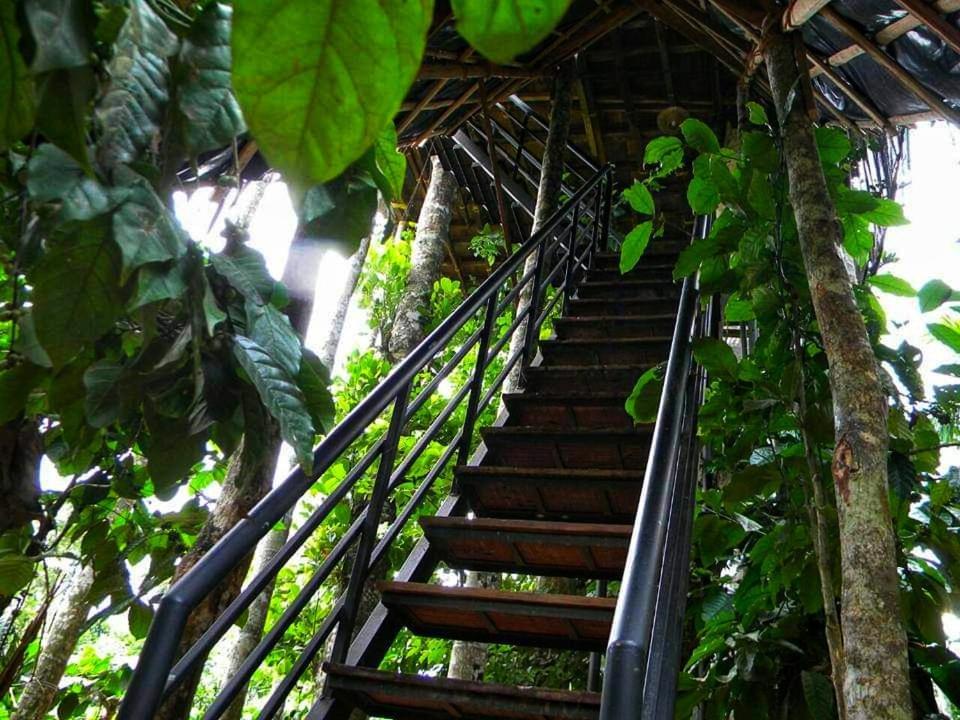 Greens Tree House & Wood House Sultan Bathery Eksteriør bilde