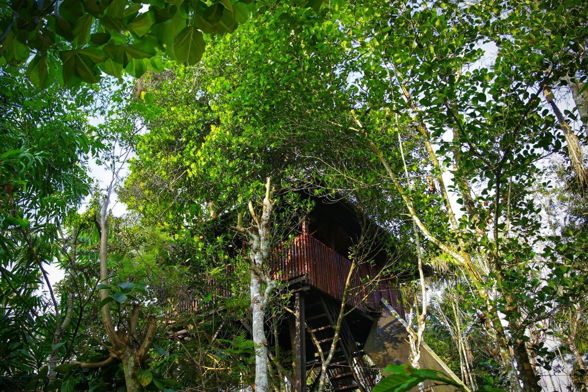 Greens Tree House & Wood House Sultan Bathery Eksteriør bilde