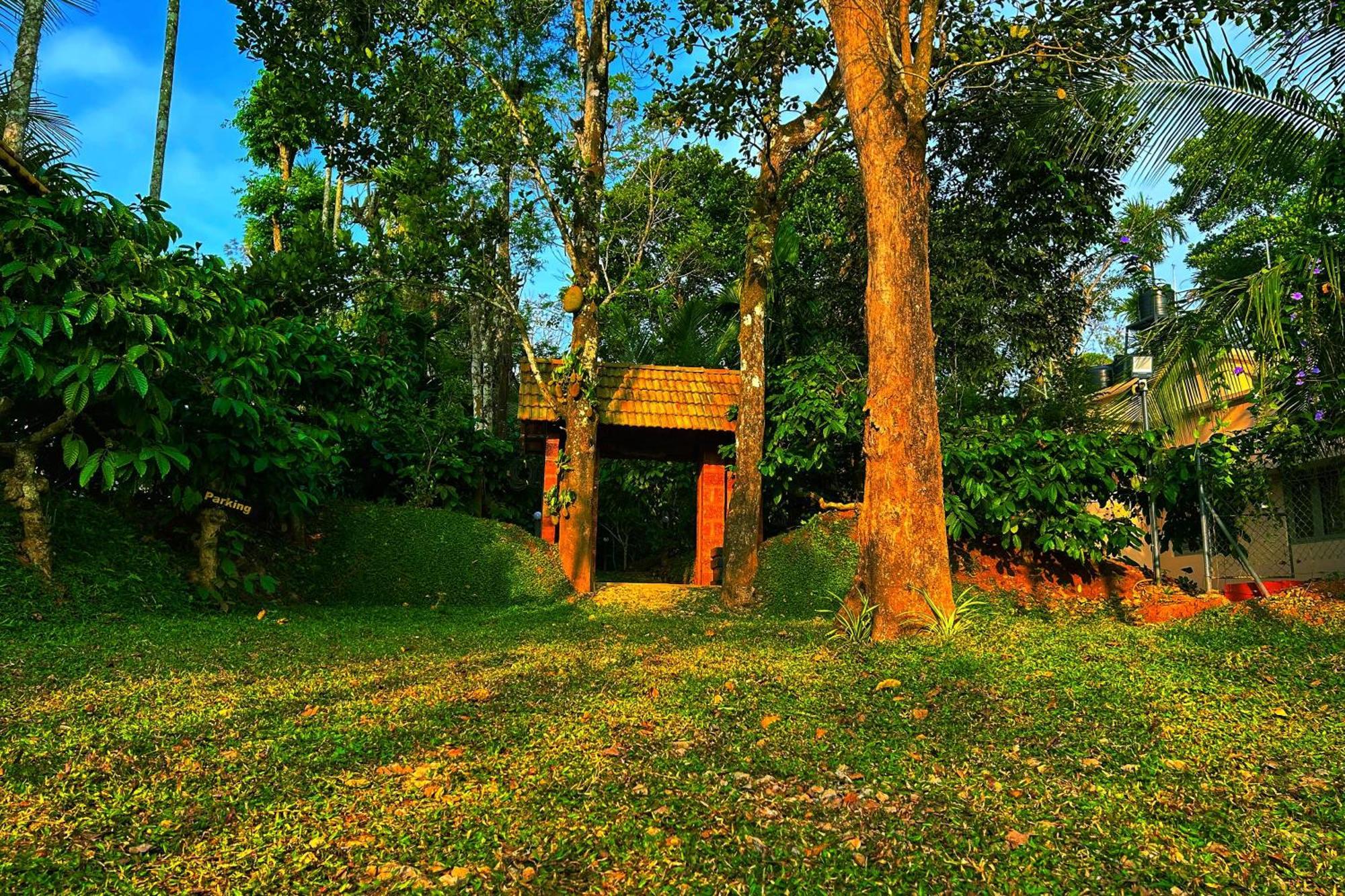 Greens Tree House & Wood House Sultan Bathery Eksteriør bilde