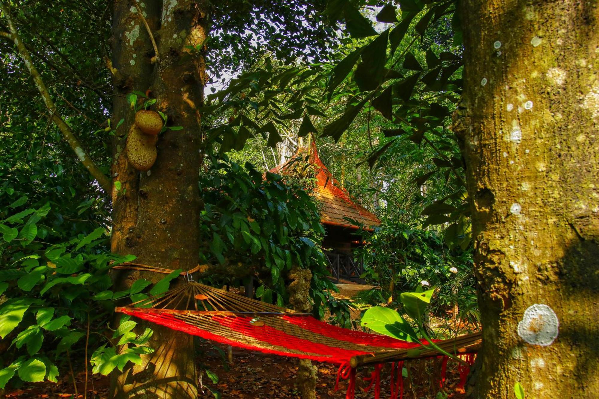 Greens Tree House & Wood House Sultan Bathery Eksteriør bilde