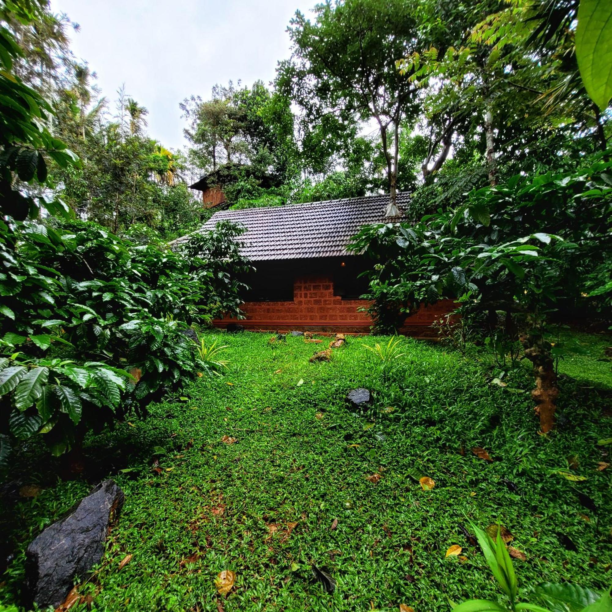 Greens Tree House & Wood House Sultan Bathery Eksteriør bilde