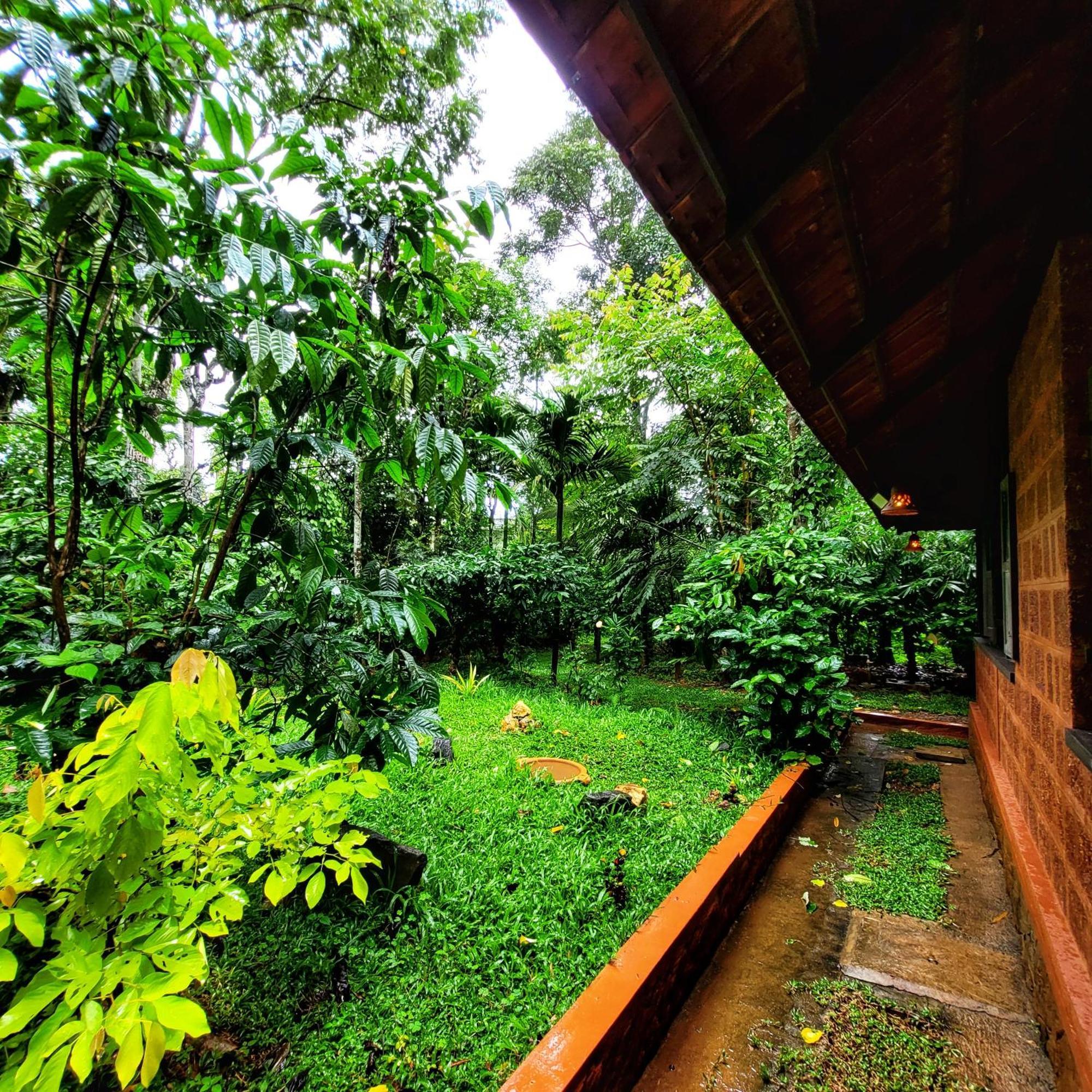 Greens Tree House & Wood House Sultan Bathery Eksteriør bilde