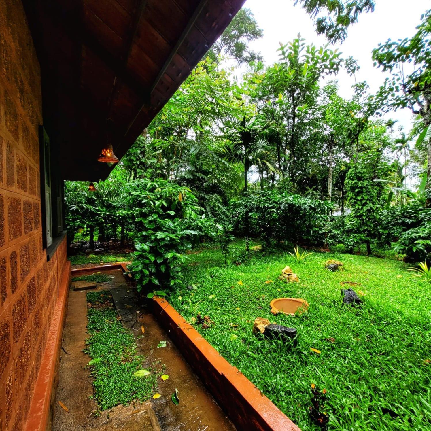Greens Tree House & Wood House Sultan Bathery Eksteriør bilde