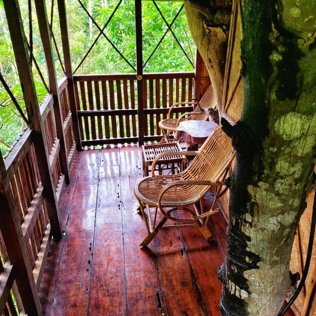 Greens Tree House & Wood House Sultan Bathery Eksteriør bilde