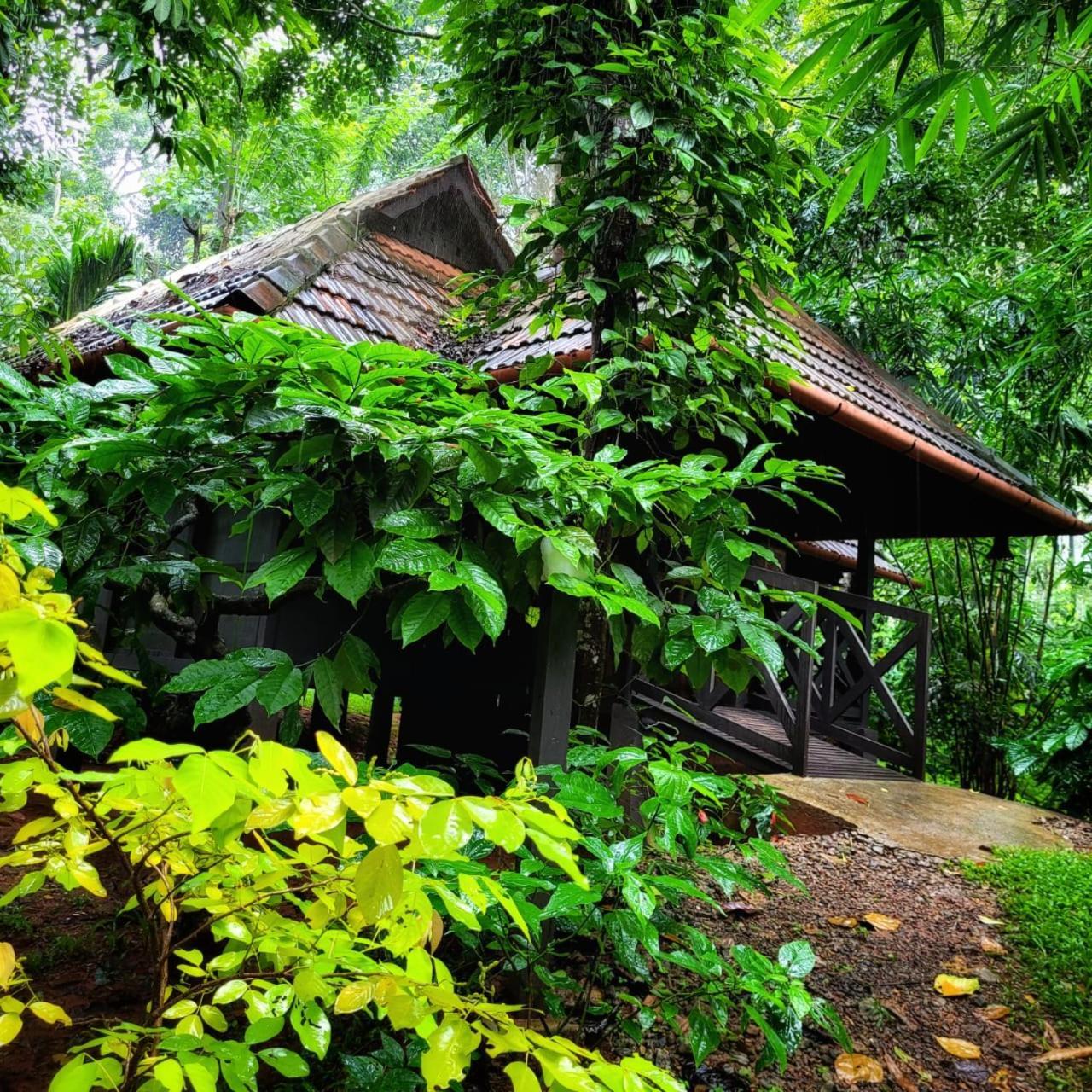 Greens Tree House & Wood House Sultan Bathery Eksteriør bilde