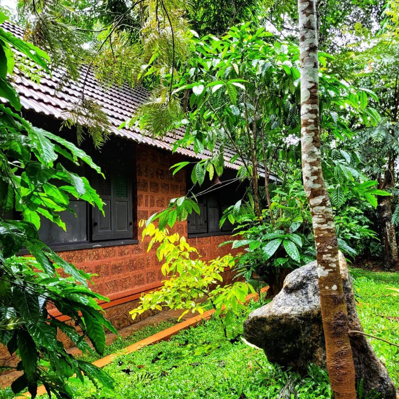Greens Tree House & Wood House Sultan Bathery Eksteriør bilde
