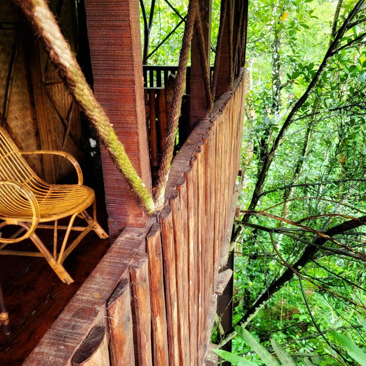 Greens Tree House & Wood House Sultan Bathery Eksteriør bilde