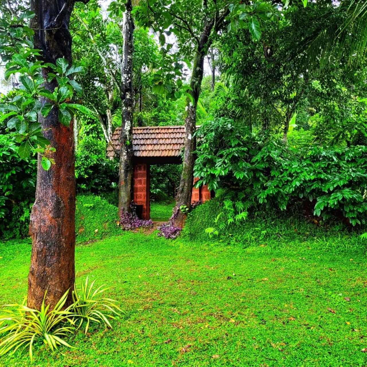 Greens Tree House & Wood House Sultan Bathery Eksteriør bilde