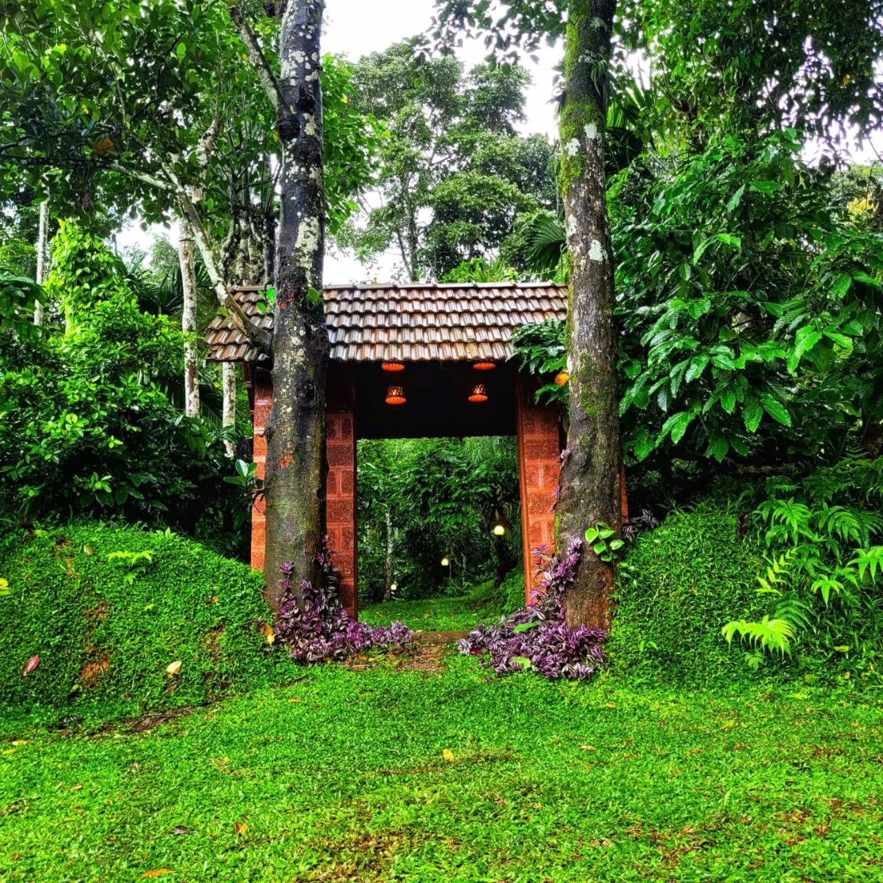 Greens Tree House & Wood House Sultan Bathery Eksteriør bilde