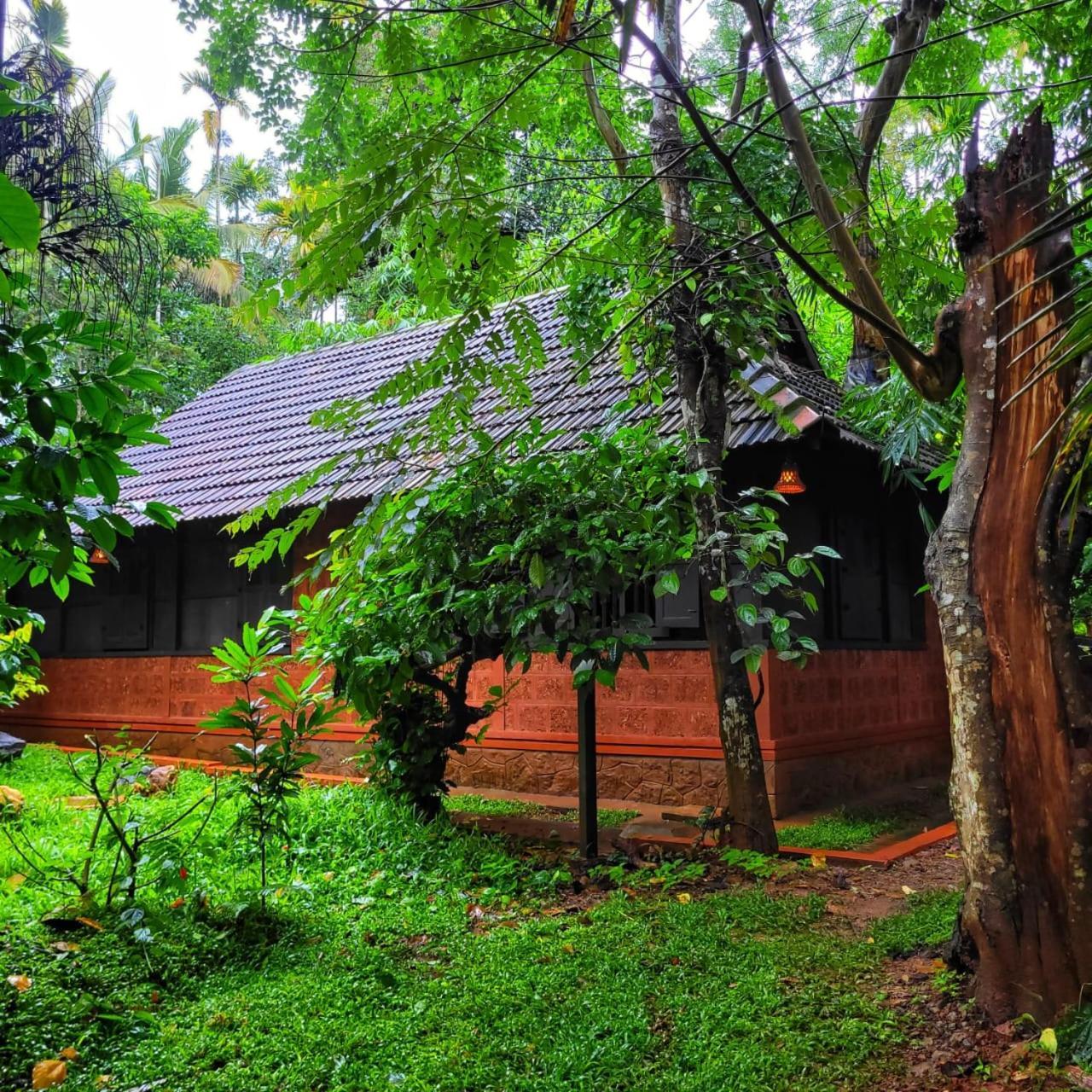 Greens Tree House & Wood House Sultan Bathery Eksteriør bilde