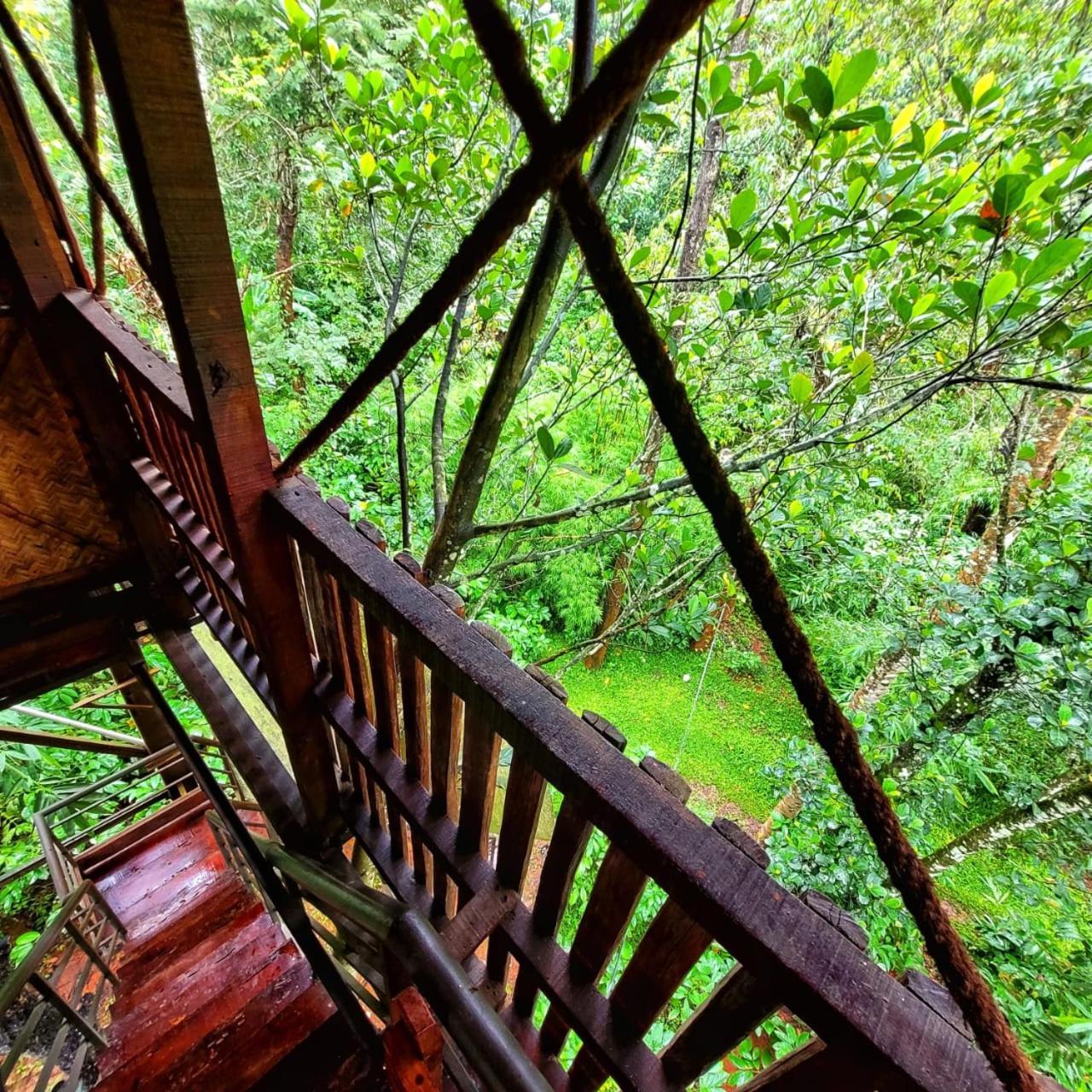 Greens Tree House & Wood House Sultan Bathery Eksteriør bilde