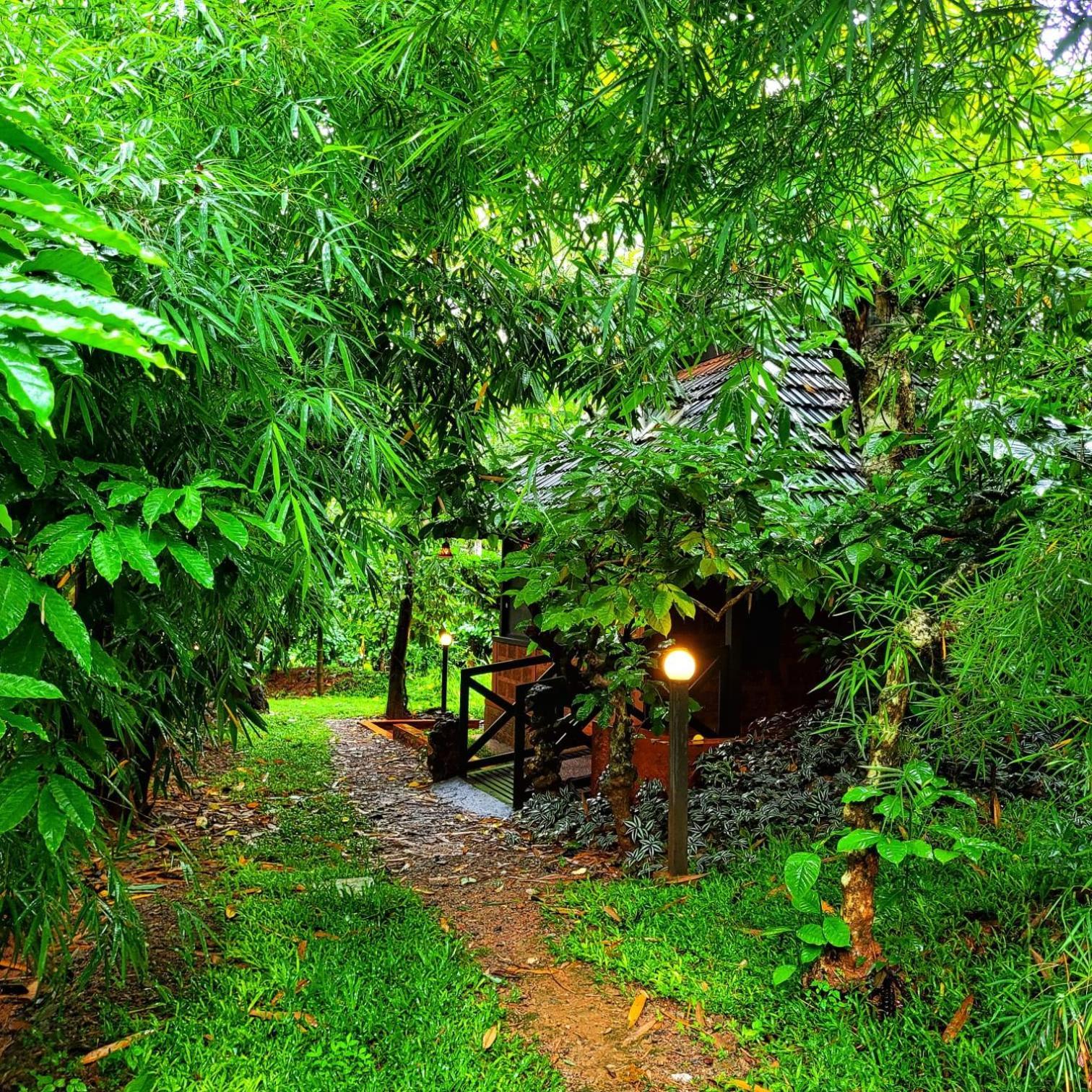 Greens Tree House & Wood House Sultan Bathery Eksteriør bilde
