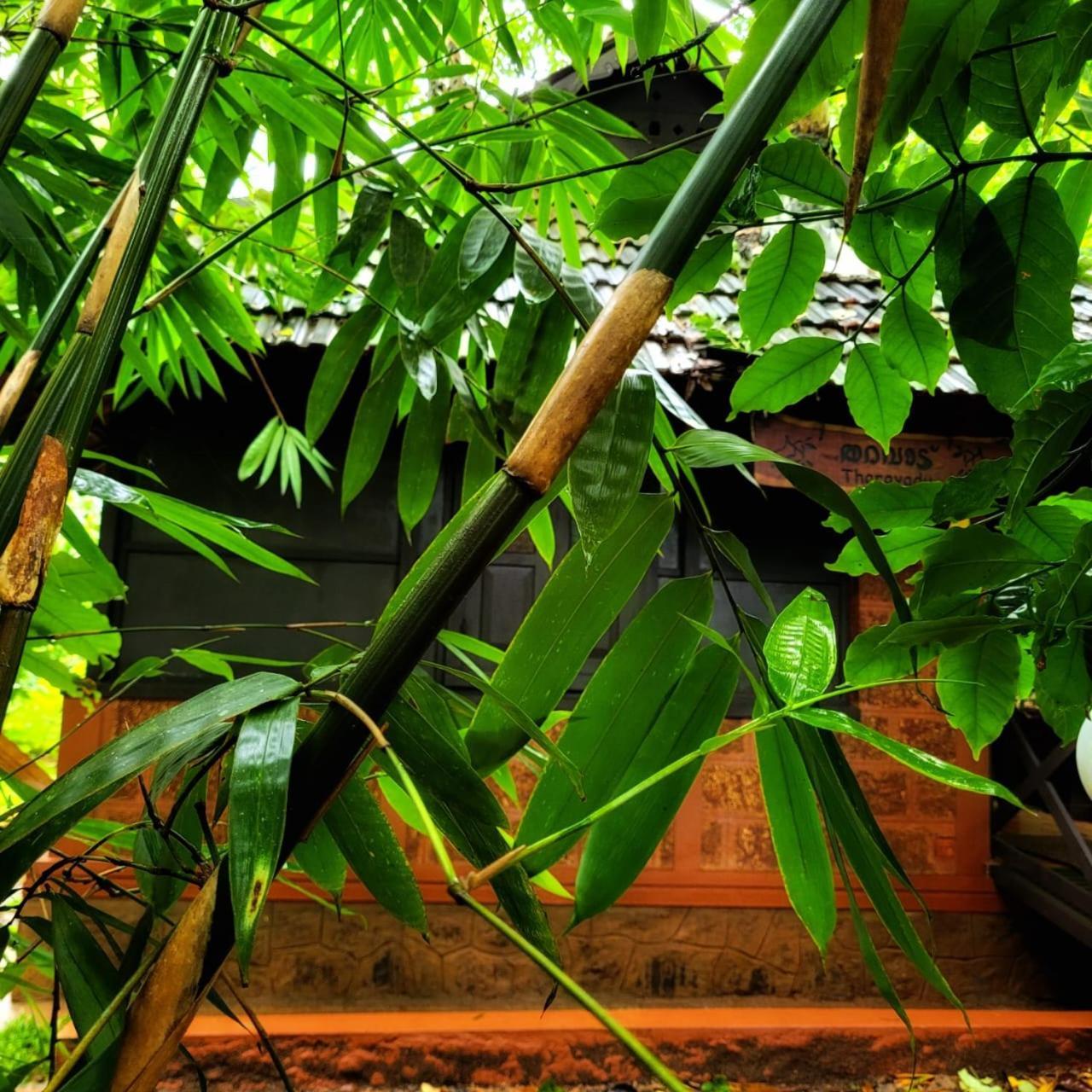 Greens Tree House & Wood House Sultan Bathery Eksteriør bilde