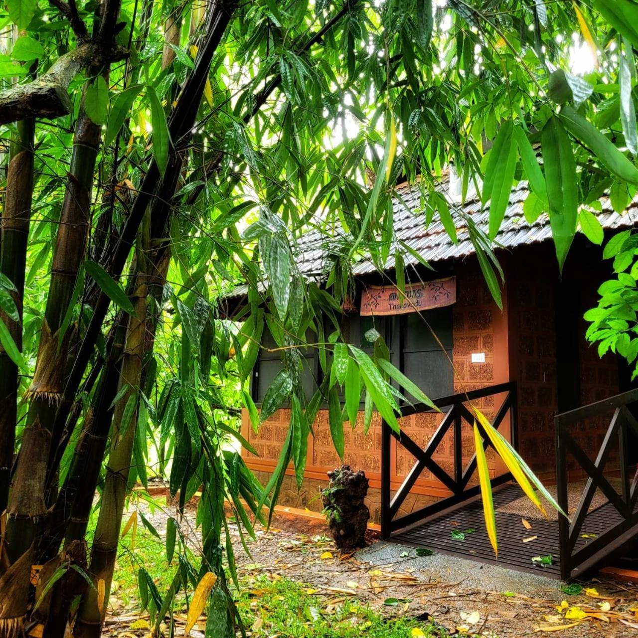 Greens Tree House & Wood House Sultan Bathery Eksteriør bilde
